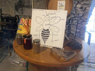 Η εκδρομή μας στο πατητήρι «Ζαχαίος» έφερε τα παιδιά του Παιδικού μας σταθμού (Αρκουδάκια,Ελαφάκια,Σκιουράκια) πιο κοντά στην φύση! Εκεί έμαθαν για την ζωή της μέλισσας, ανακάλυψαν τα μυστικά του μελιού και στο τέλος έφτιαξαν λουκουμάδες με μέλι!🐝🍯